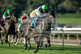 Santa Anita Horse Racing