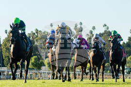 Santa Anita Horse Racing