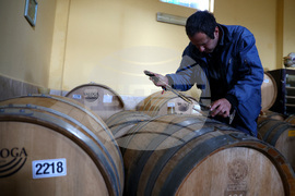 Белоградчик - проект „Вино и велосипед“