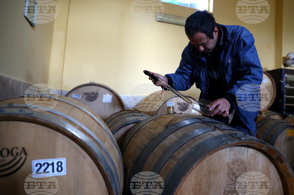 Белоградчик - проект „Вино и велосипед“