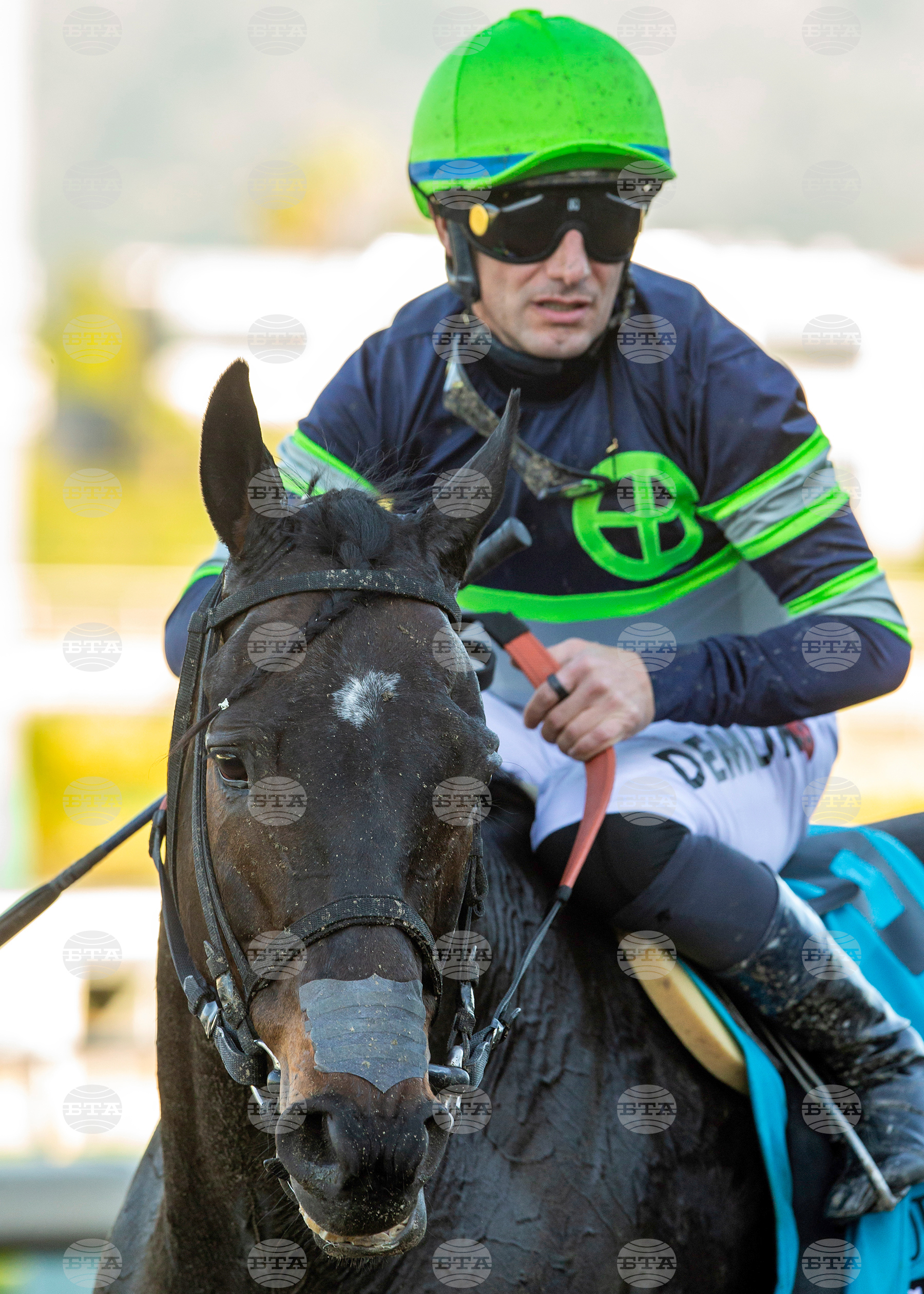 Santa Anita Horse Racing