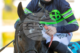 Santa Anita Horse Racing