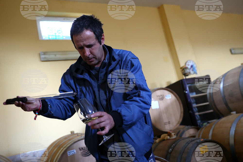 Белоградчик - проект „Вино и велосипед“