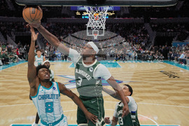 Bucks Hornets Basketball