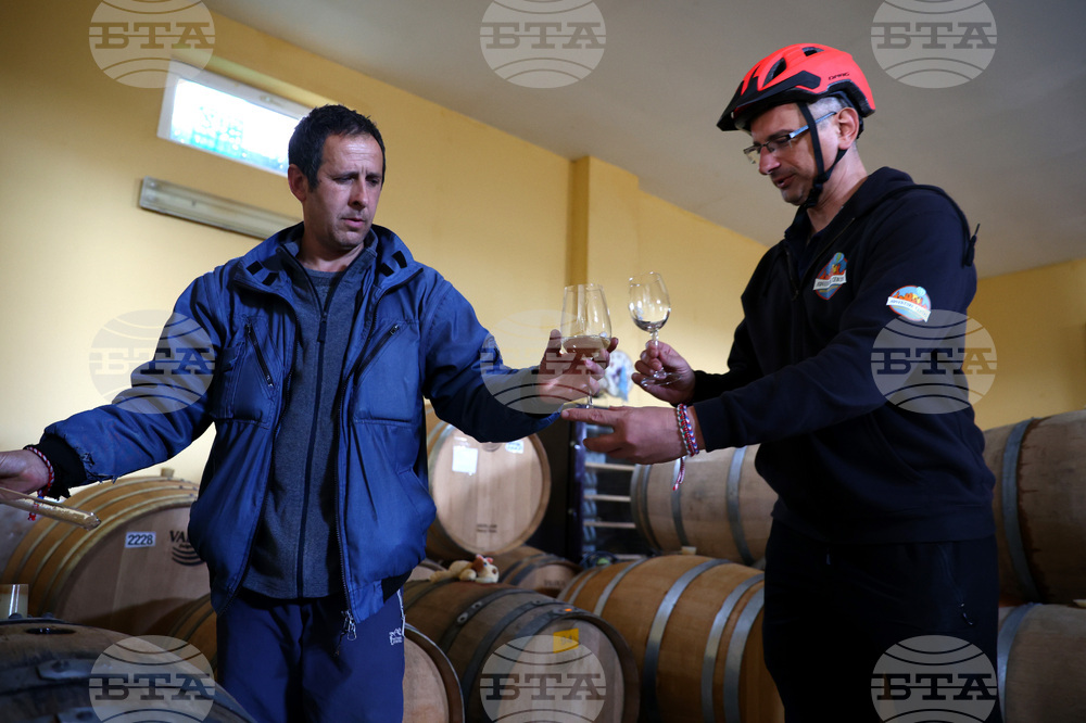 Белоградчик - проект „Вино и велосипед“