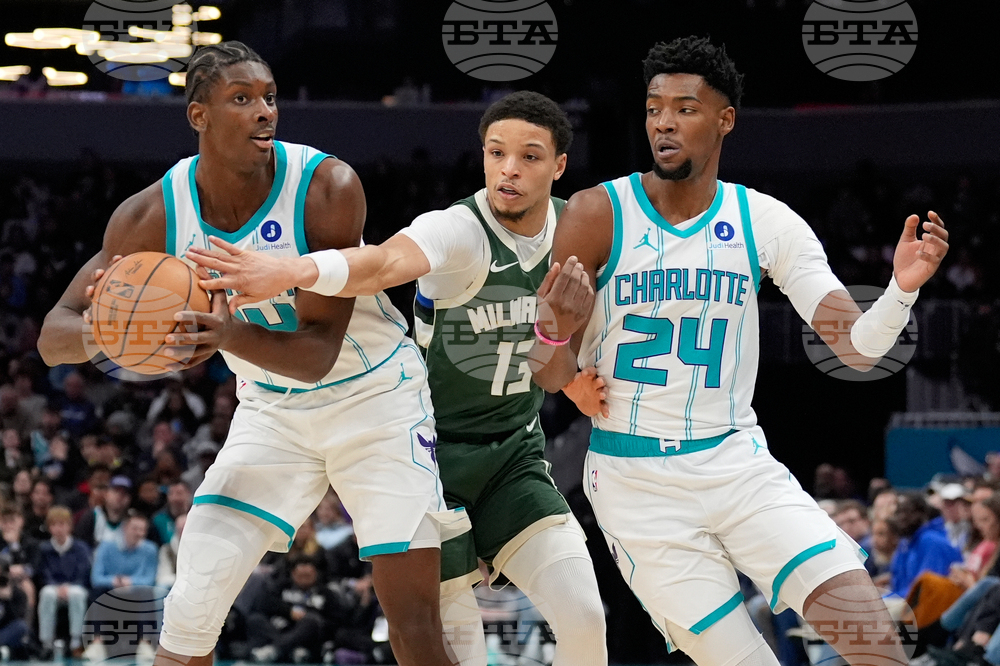 Bucks Hornets Basketball