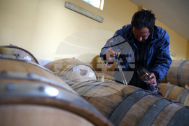 Белоградчик - проект „Вино и велосипед“