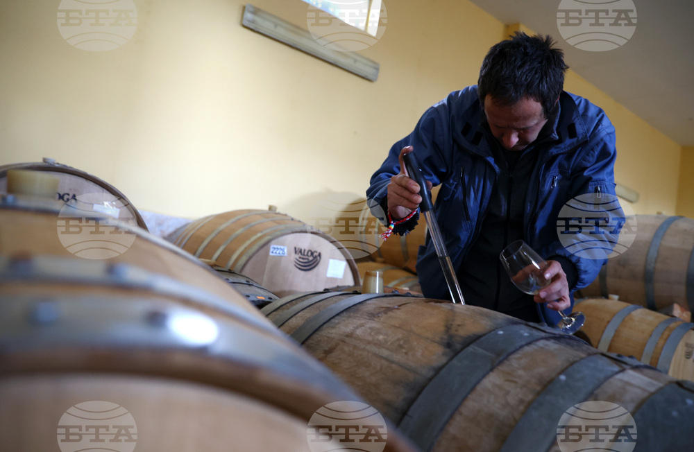 Белоградчик - проект „Вино и велосипед“