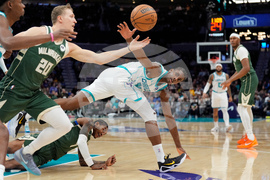 Bucks Hornets Basketball