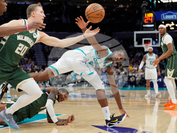 Bucks Hornets Basketball