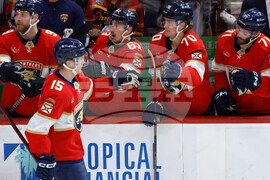 Capitals Panthers Hockey