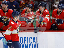 Capitals Panthers Hockey