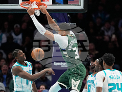 Bucks Hornets Basketball