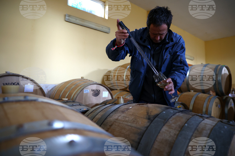 Белоградчик - проект „Вино и велосипед“