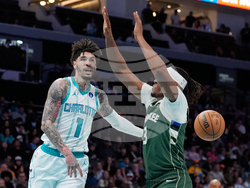 Bucks Hornets Basketball