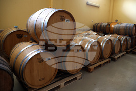 Белоградчик - проект „Вино и велосипед“