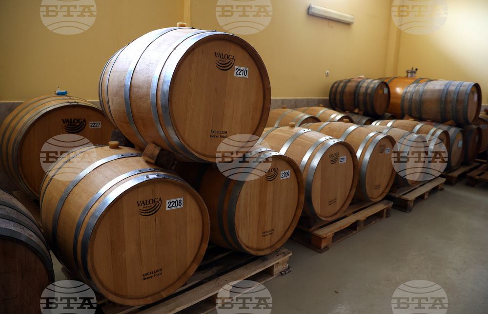 Белоградчик - проект „Вино и велосипед“