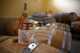 Белоградчик - проект „Вино и велосипед“