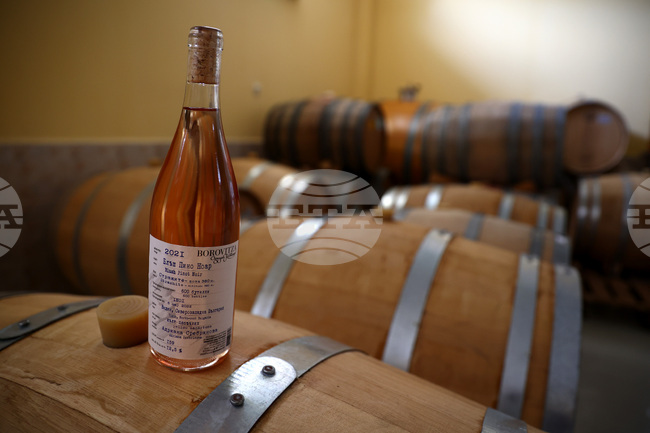 Белоградчик - проект „Вино и велосипед“