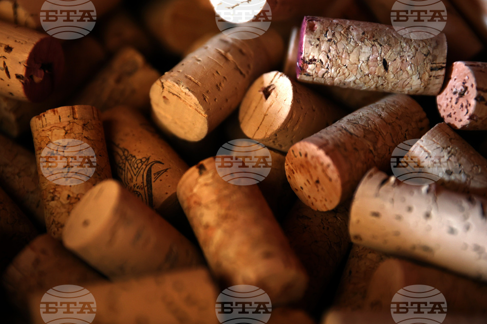 Белоградчик - проект „Вино и велосипед“