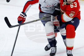 Capitals Panthers Hockey