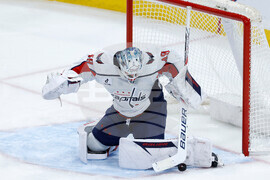 Capitals Panthers Hockey