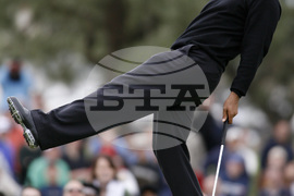 Tiger Woods at 50 Photo Gallery