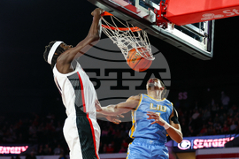 LIU Brooklyn Georgia Basketball