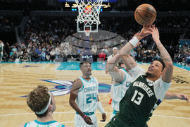 Bucks Hornets Basketball