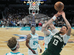 Bucks Hornets Basketball