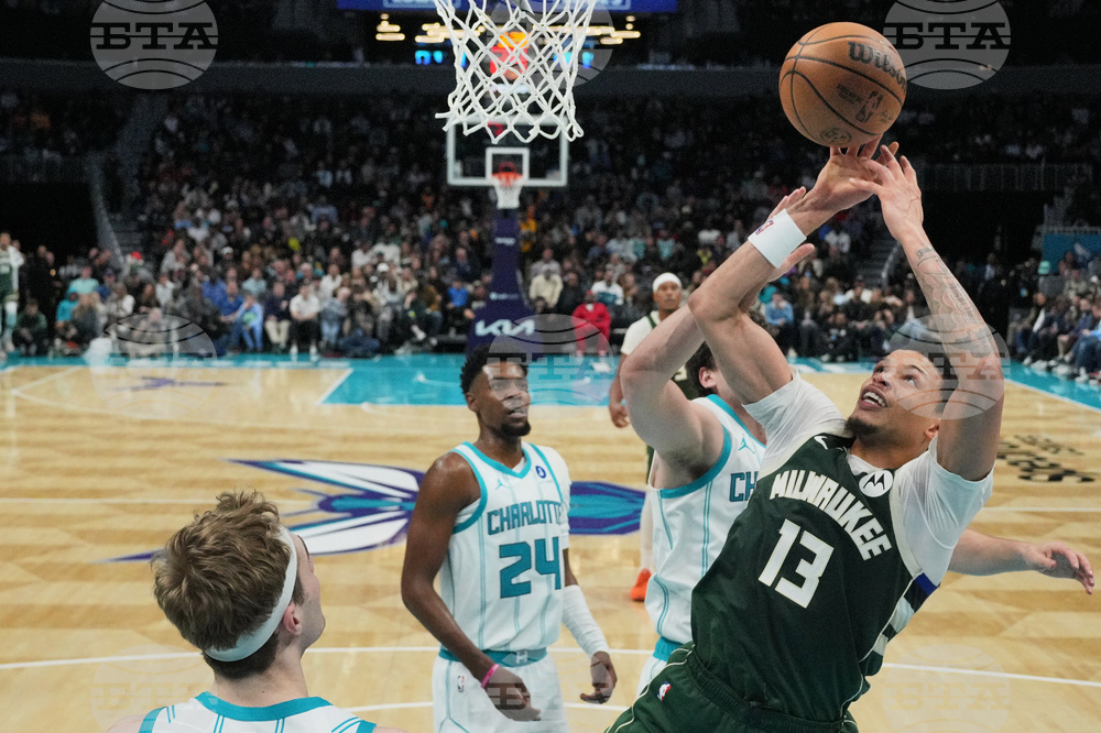 Bucks Hornets Basketball