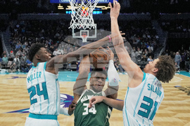 Bucks Hornets Basketball