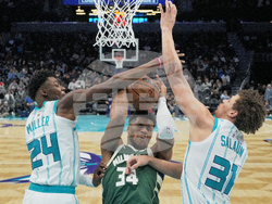 Bucks Hornets Basketball
