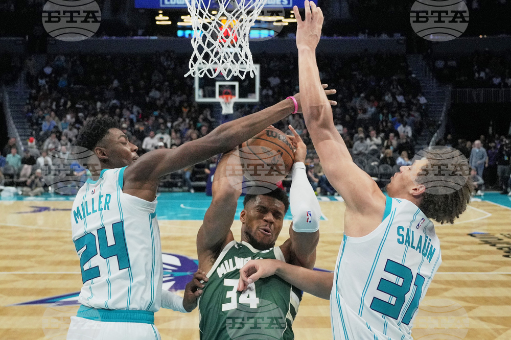 Bucks Hornets Basketball