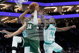 Bucks Hornets Basketball