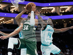 Bucks Hornets Basketball