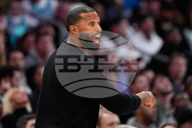 Bucks Hornets Basketball