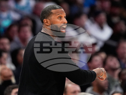 Bucks Hornets Basketball