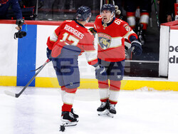 Capitals Panthers Hockey