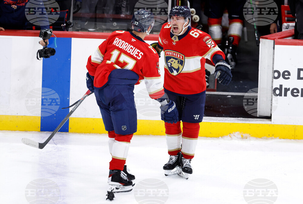 Capitals Panthers Hockey