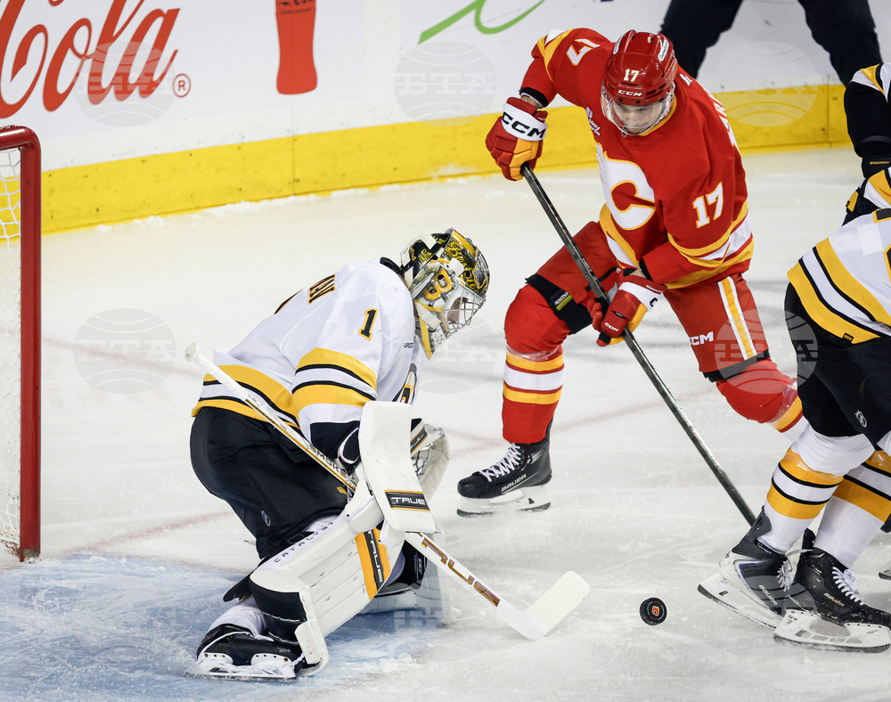 Bruins Flames Hockey