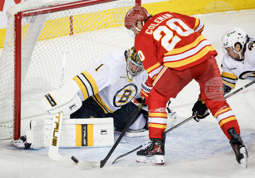 Bruins Flames Hockey
