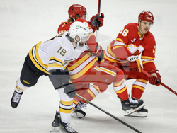 Bruins Flames Hockey