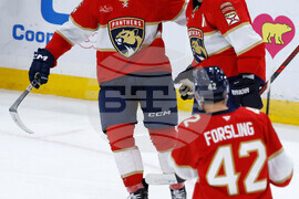 Capitals Panthers Hockey