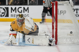 Wild Golden Knights Hockey