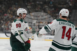 Wild Golden Knights Hockey