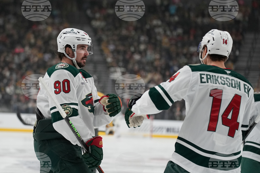 Wild Golden Knights Hockey