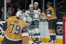 Wild Golden Knights Hockey