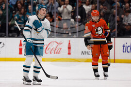 Sharks Ducks Hockey