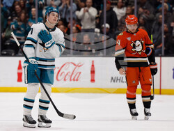 Sharks Ducks Hockey